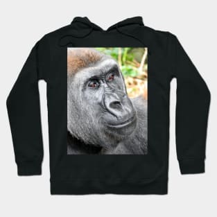 Gorilla Hoodie